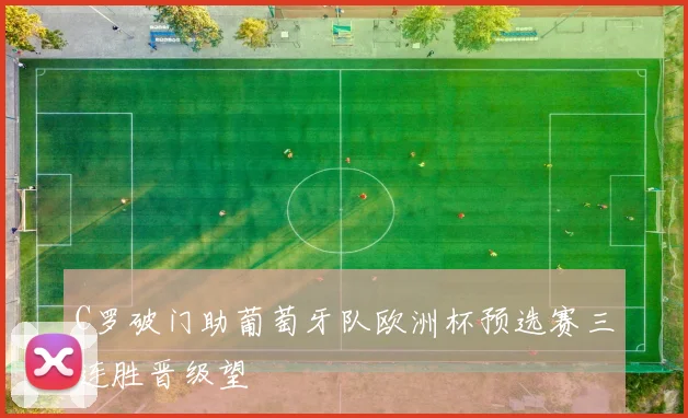 C罗破门助葡萄牙队欧洲杯预选赛三连胜晋级望