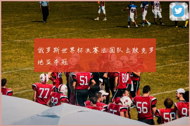 俄罗斯世界杯决赛法国队击败克罗地亚夺冠