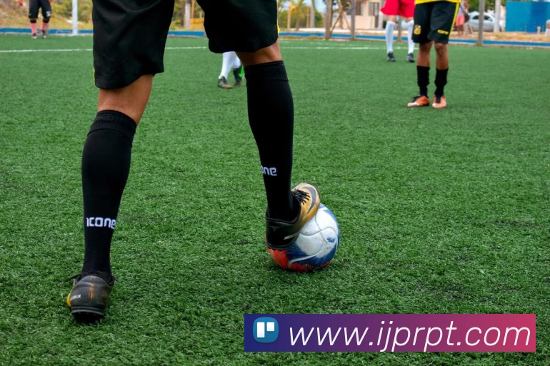 滚球买球的app官网服务体系